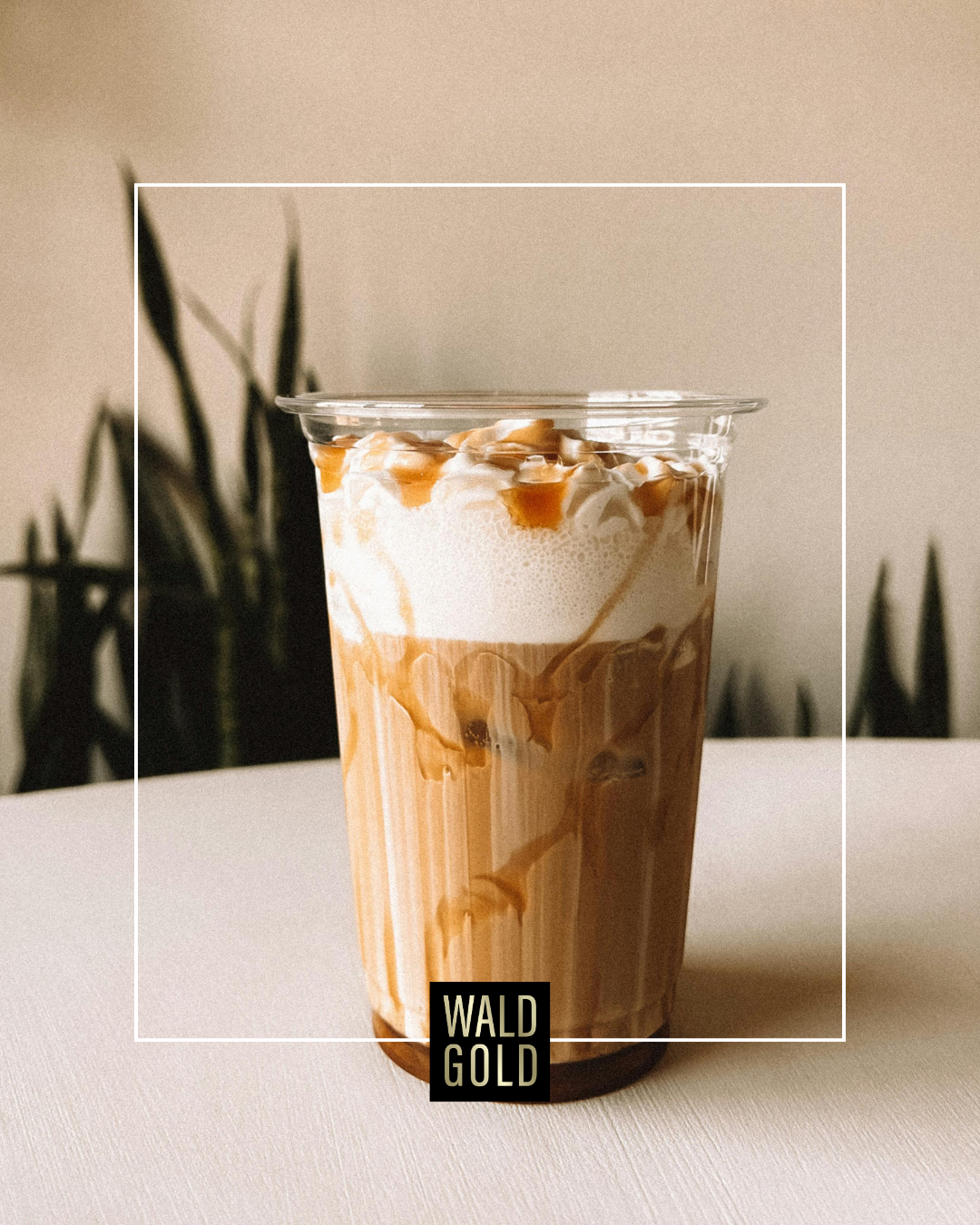 Cold Brew Eichelkaffee mit Fichtenspitzenschaum