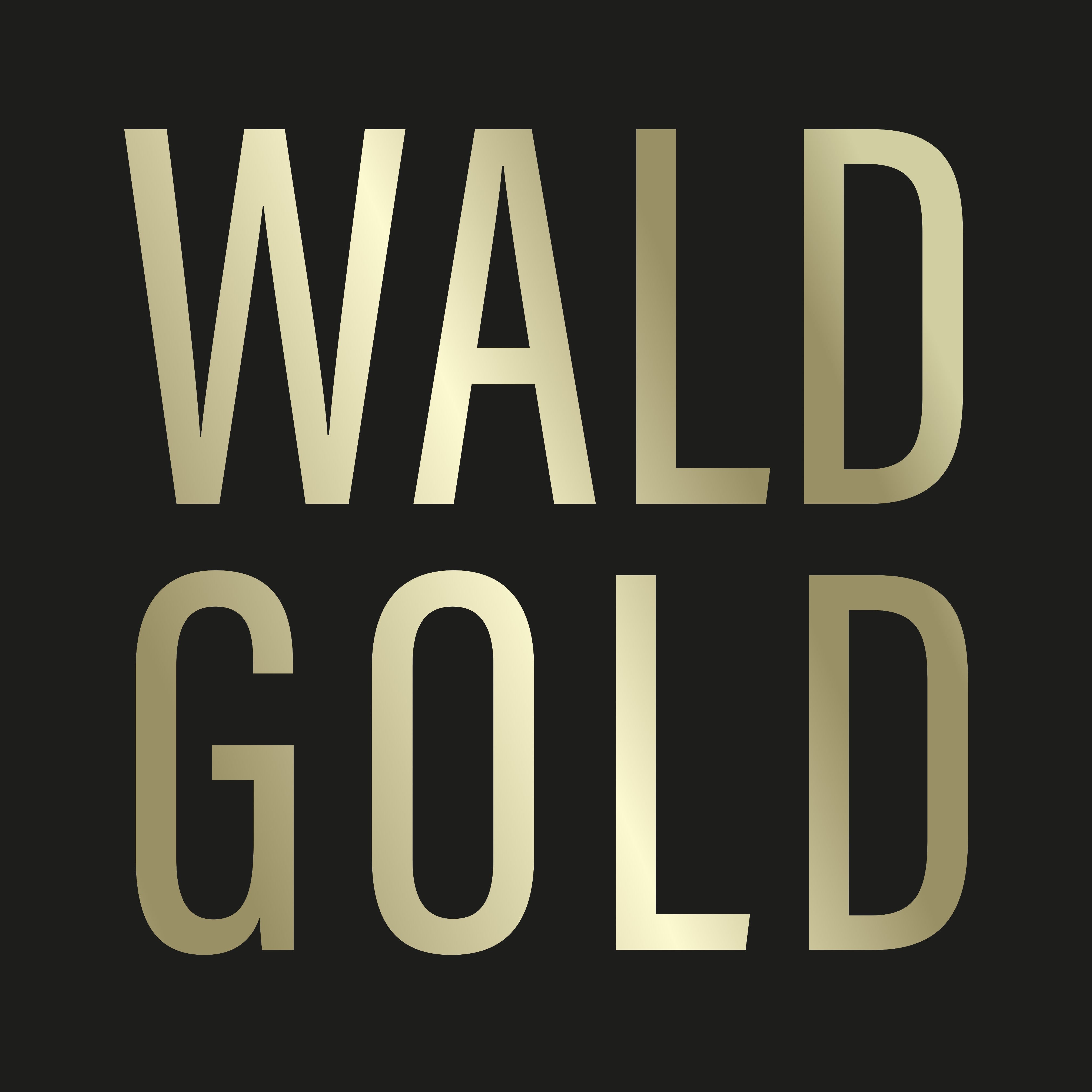 Rezeptideen mit Fokus Wald und Wildsammlung – WALDGOLD Rezeptideen mit Fokus Wald und Wildsammlung – WALDGOLD