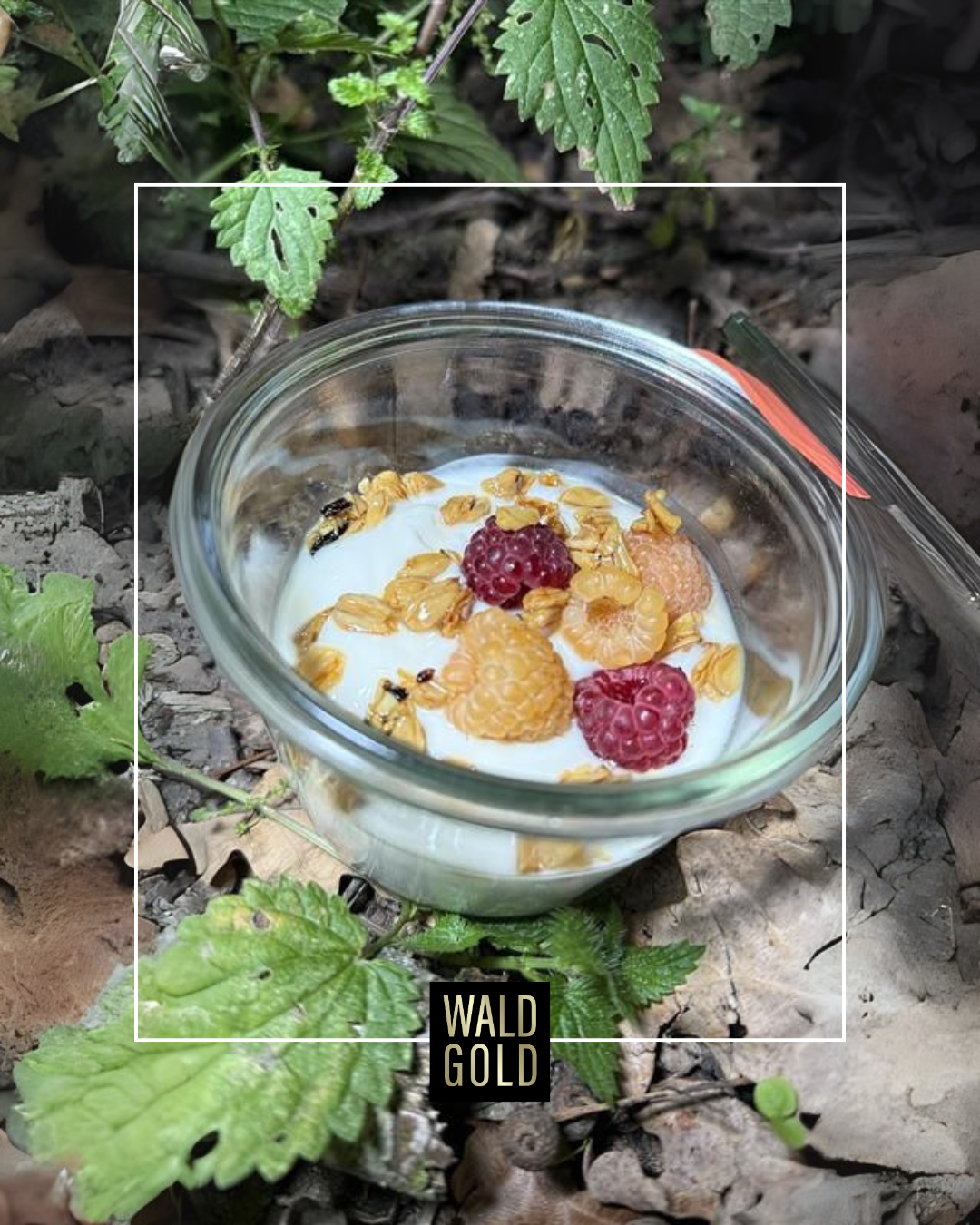 Waldproviant: Ernte-Dessert