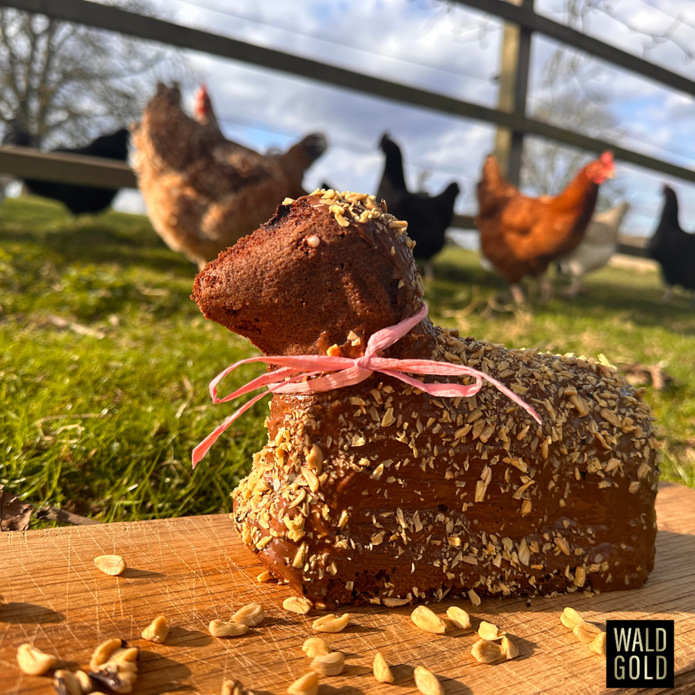 Osterlamm mit Bucheckernfell Osterlamm mit Bucheckernfell