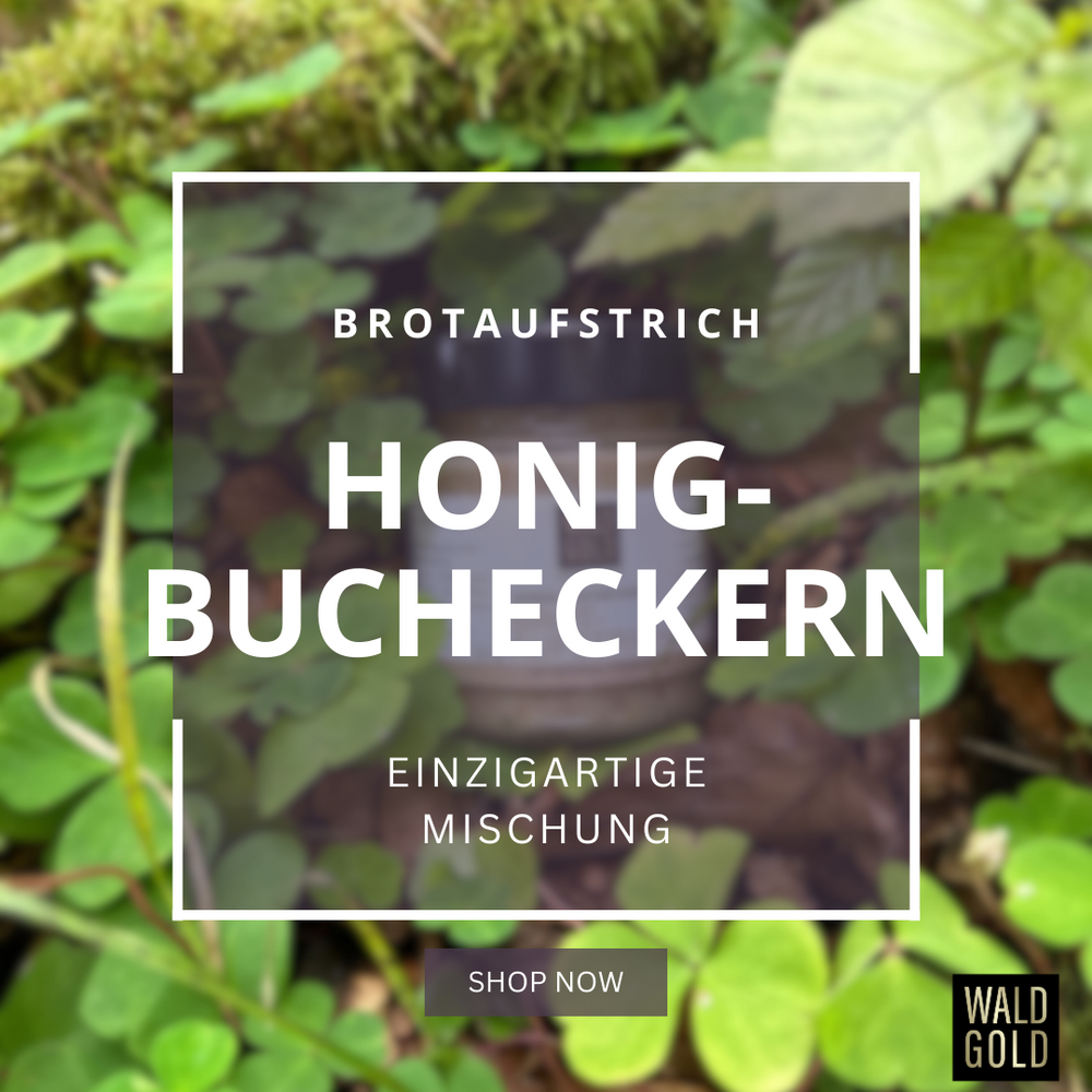 
                      
                        Brotaufstrich Honig-Bucheckern
                      
                    