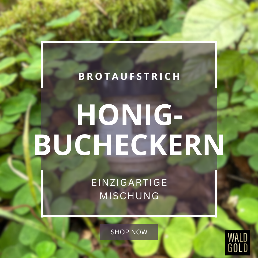 
                  
                    Brotaufstrich Honig-Bucheckern
                  
                