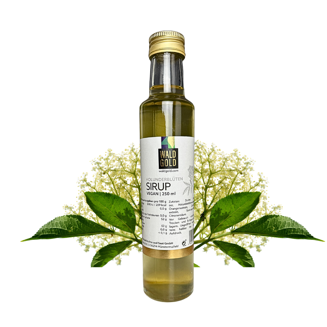 Holunderblüten Sirup