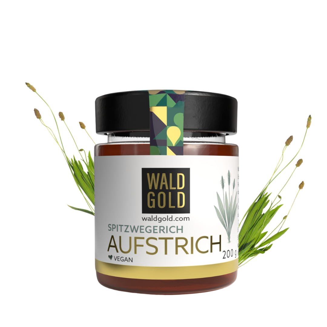 Spitzwegerich Aufstrich